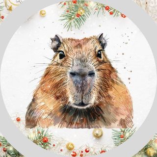 Obrázek produktu Trička s kapybarou