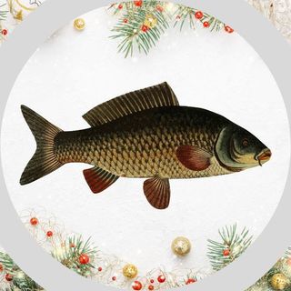 Obrázek produktu Trička s koníčky a zájmy