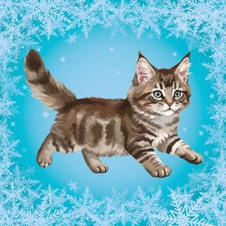 Obrázek produktu Kočičí trička