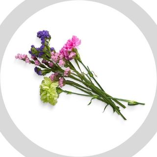 Obrázek produktu Květiny na tričkách