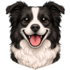 Border kolie.png