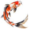 koi ryby.png