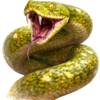 plazi vše (1).png