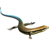 Ikonky.png