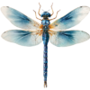 Ikonky (2).png