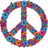 hippie.png