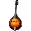 mandolína.png