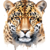 jaguár.png