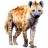 Hyena.png