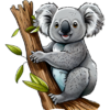 Koala .png
