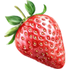 jahody.png