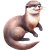 vydra.png