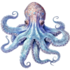 chobotnice.png