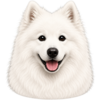 Samojed.png