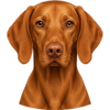 Maďarský ohař _ Vizsla.png