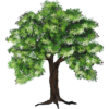 64.png