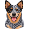 Ikonky (1).png