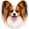 Ikonky (3).png