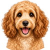 Ikonky (4).png