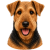 Ikonky (5).png