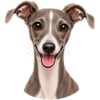 Ikonky (7).png