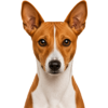 Ikonky (9).png