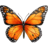 Ikonky (1).png