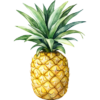 ananas.png