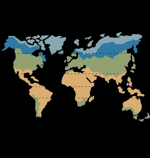 Obrázek produktu Pánské tričko Mapa světa Klimatické Pásy