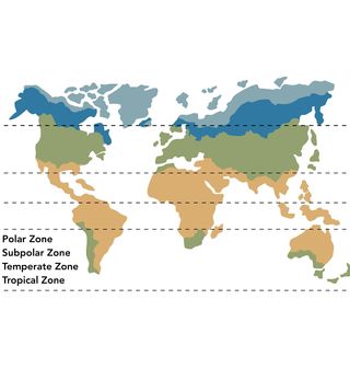 Obrázek 2 produktu Dětské tričko Mapa světa Klimatické Pásy