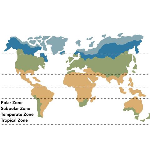 Obrázek produktu Dětské tričko Mapa světa Klimatické Pásy
