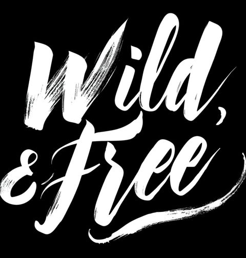 Obrázek produktu Dámské tričko Divoký a Svobodný Wild & Free