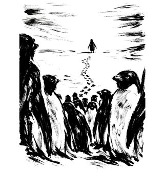 Obrázek 2 produktu Pánské tričko Odvážný Tučňák But Why