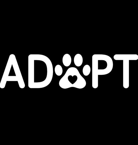 Obrázek produktu Dámské tričko Adoptuj Psa Adopt