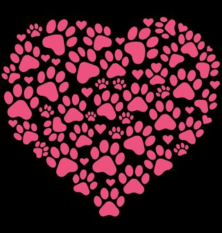 Obrázek 2 produktu Dětské tričko Růžové Srdce z Tlapek