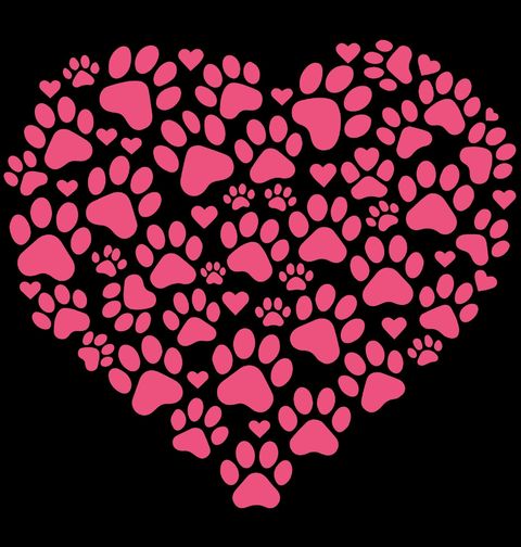 Obrázek produktu Dětské tričko Růžové Srdce z Tlapek