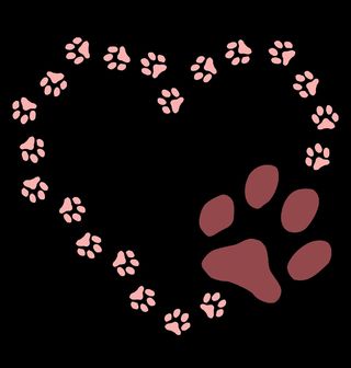 Obrázek 2 produktu Pánská mikina Srdce ze Psích Stop