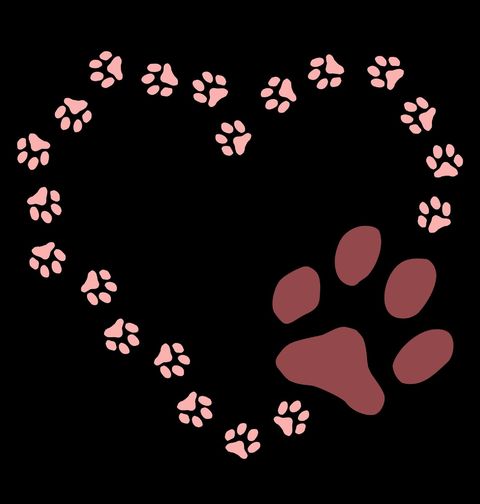 Obrázek produktu Pánská mikina Srdce ze Psích Stop