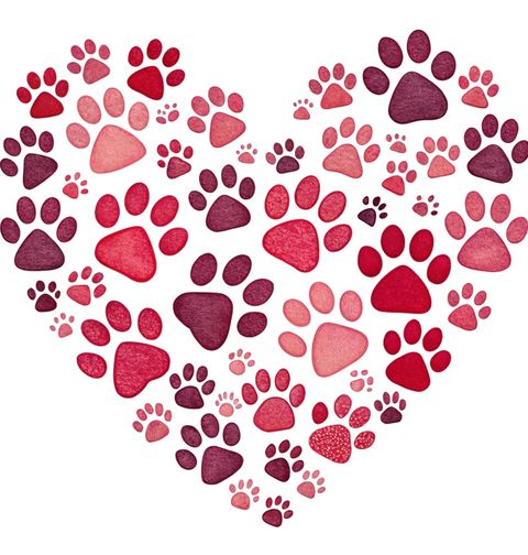 Obrázek produktu Dámské tričko Srdce z Tlapek