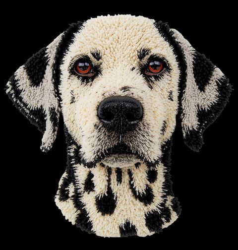 Obrázek produktu Pánská mikina Háčkovaný Dalmatian