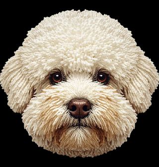 Obrázek 2 produktu Pánské tričko Háčkovaný Bišonek