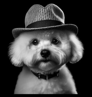 Obrázek 2 produktu Pánská mikina Bišonek s Kloboukem