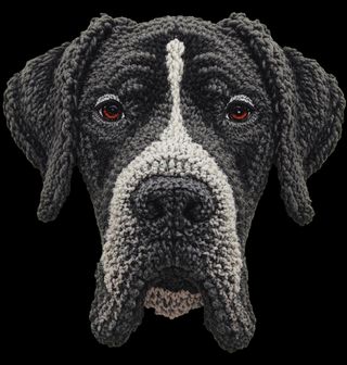 Obrázek 2 produktu Dětské tričko Háčkovaná Německá doga