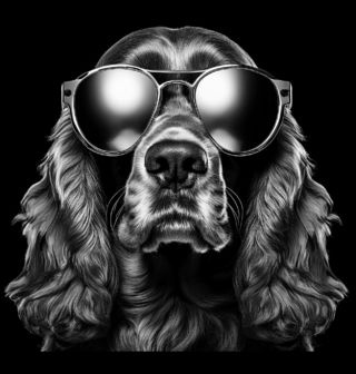 Obrázek 2 produktu Dětské tričko Irský setr ve Slunečních Brýlích