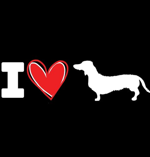 Obrázek produktu Pánská mikina Miluju Jezevčíky