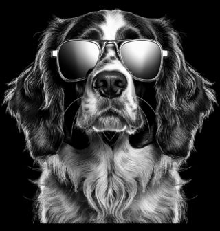 Obrázek 2 produktu Pánské tričko Bretaňský ohař s Brýlemi