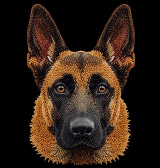 Obrázek 2 produktu Dámské tričko Háčkovaný Belgický ovčák Malinois