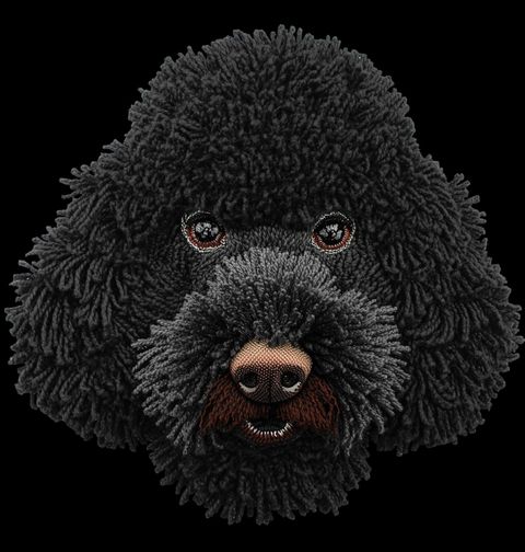 Obrázek produktu Pánská mikina Černý Háčkovaný Pudl