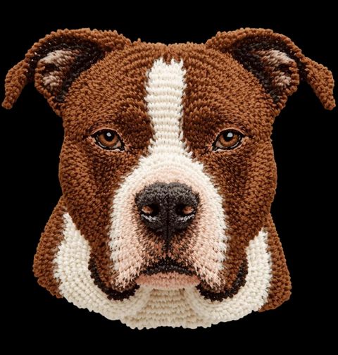 Obrázek produktu Pánská mikina Háčkovaný Americký stafordšírský teriér