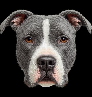 Obrázek 2 produktu Pánská mikina Háčkovaný Americký pitbulteriér